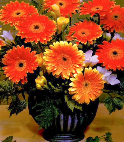 Reklamówka z uchem 40x45 GERBERY 25 sztuk CIENKA 